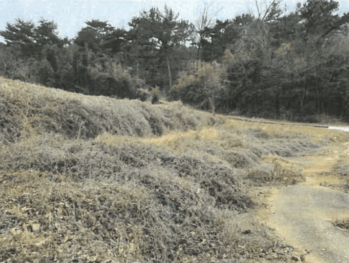 경상남도 남해군 서면 정포리 873 외 1 필지