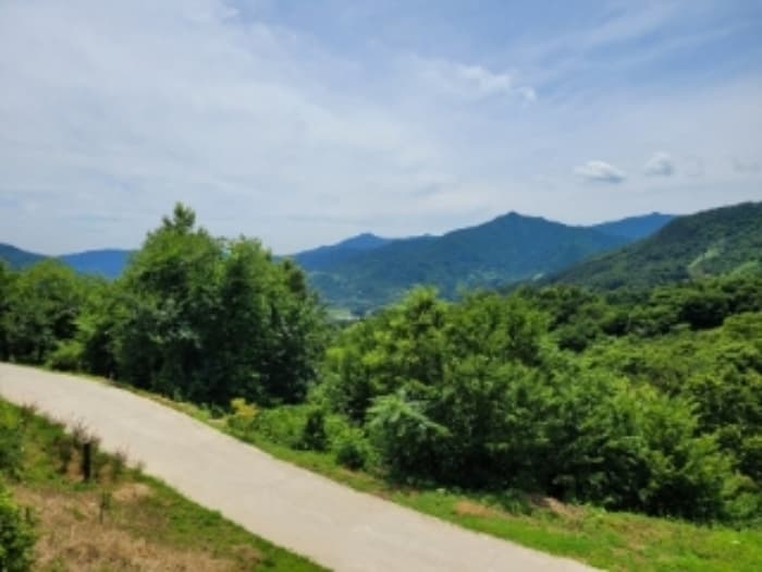 경상남도 하동군 악양면 중대리 509