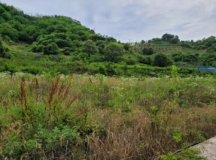 경상남도 진주시 상봉동 347-3 외 1 필지