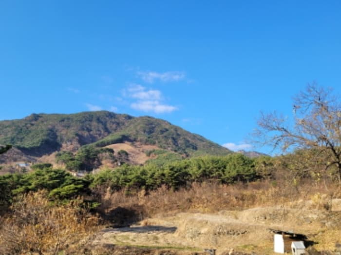 경상남도 산청군 신안면 외송리 산71-7 외 7 필지