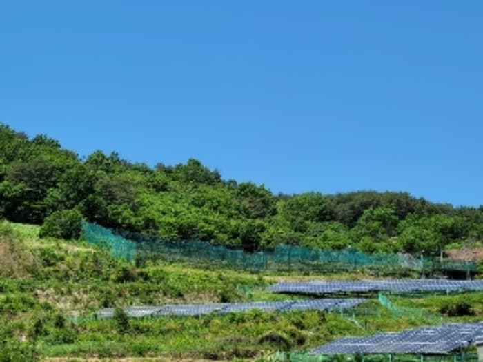 경상남도 하동군 양보면 통정리 산152-5