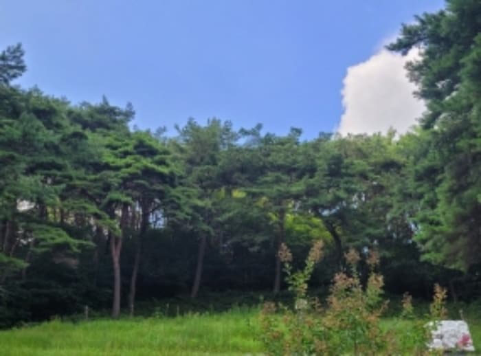 경상남도 하동군 옥종면 대곡리 614-6