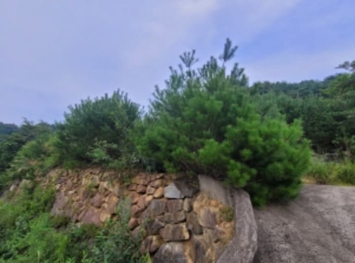 경상남도 산청군 단성면 청계리 산72-32