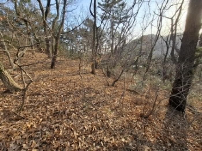 경상남도 남해군 미조면 미조리 93-2