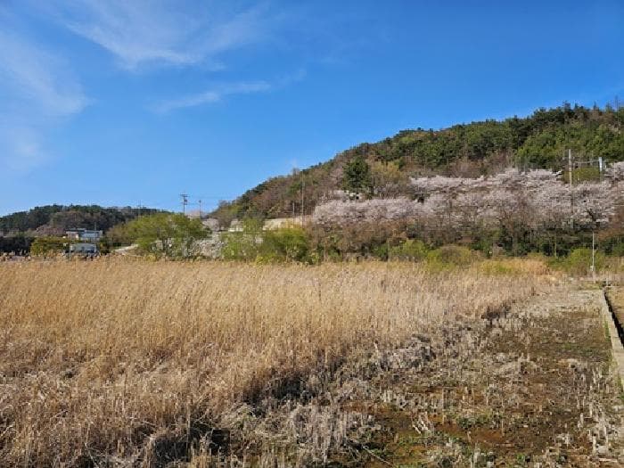 경상남도 하동군 하동읍 목도리 283-2