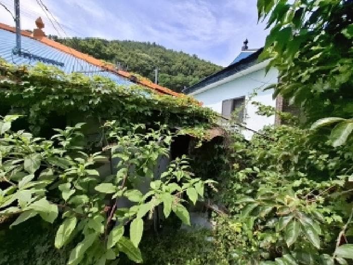 경상남도 남해군 남면 상가리 748-1