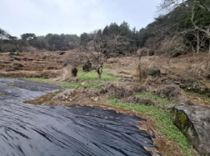 경상남도 남해군 삼동면 봉화리 205