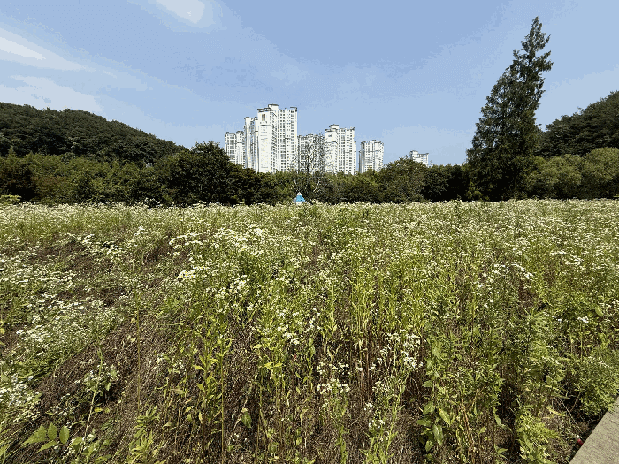 경상남도 진주시 내동면 독산리 520-7 외 3 필지