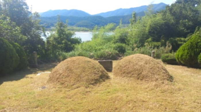 경상남도 고성군 대가면 암전리 385-1 외 2 필지