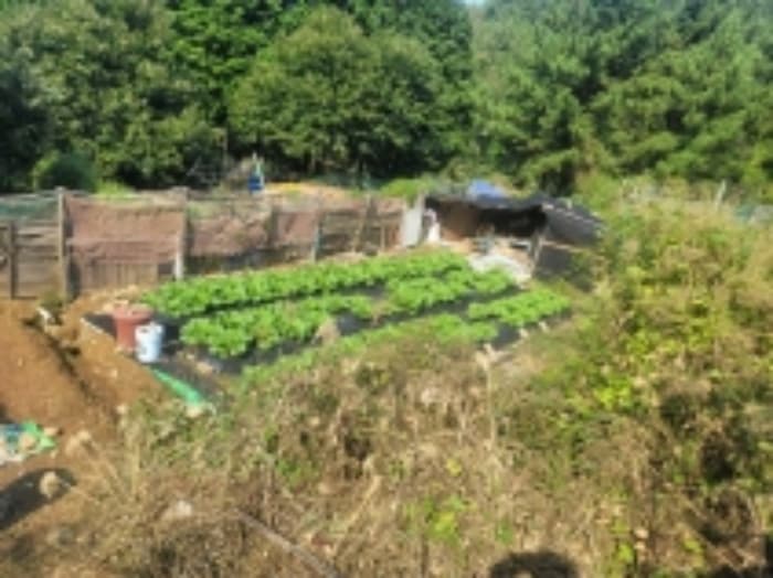 경상남도 통영시 미수동 124