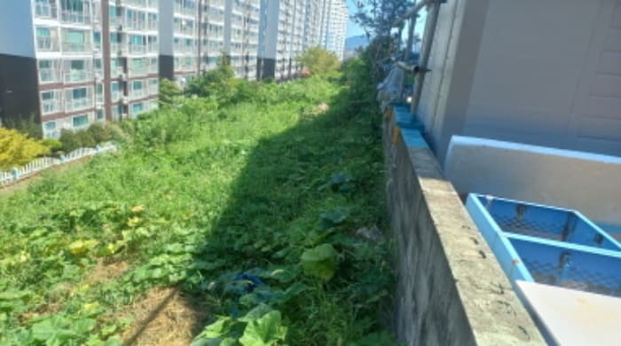 경상남도 거제시 아주동 1256-5 외 1 필지