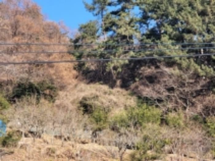 경상남도 거제시 사등면 청곡리 302