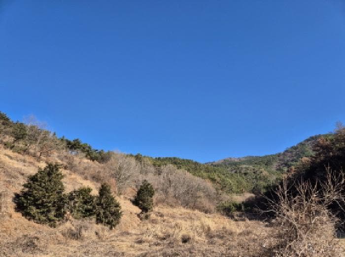 경상남도 고성군 고성읍 월평리 268-2
