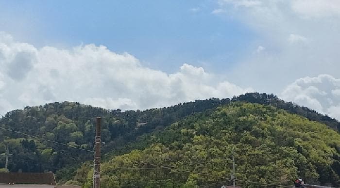 경상남도 거제시 장목면 율천리 산95