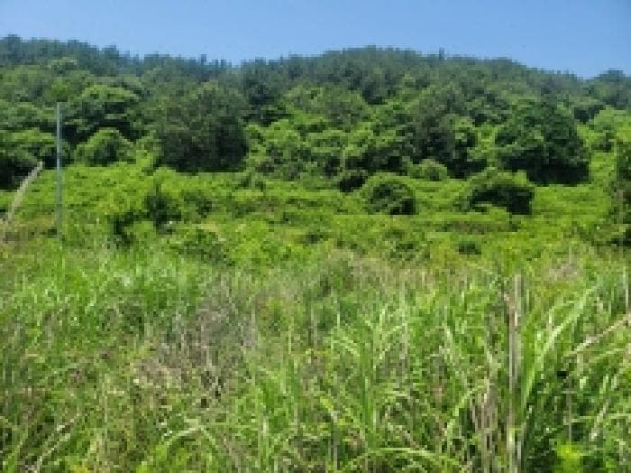 경상남도 통영시 사량면 읍덕리 산37
