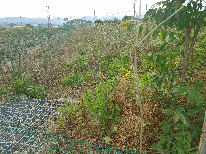 경상남도 고성군 거류면 은월리 229-6