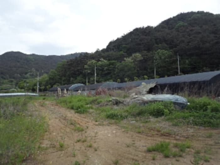 경상남도 밀양시 상동면 금산리 171-10