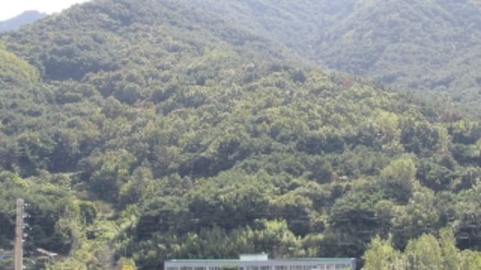 경상남도 창녕군 계성면 사리 산131-6