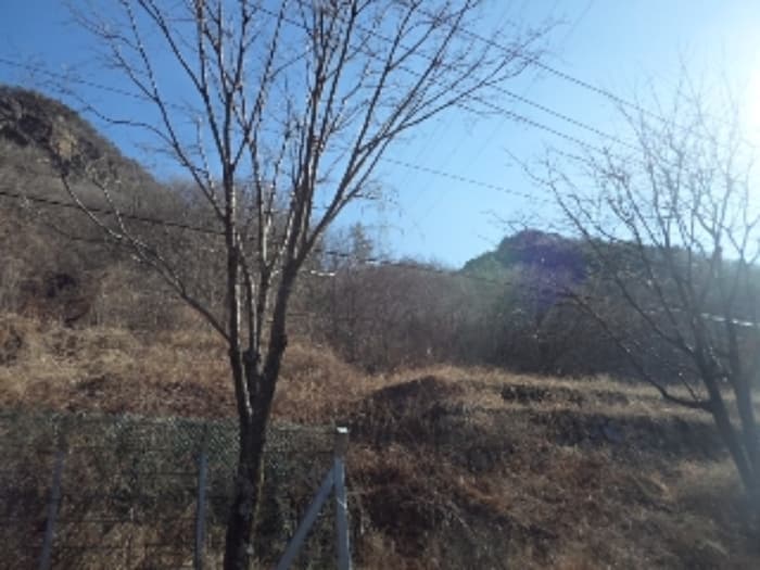 경상남도 밀양시 단장면 범도리 1261