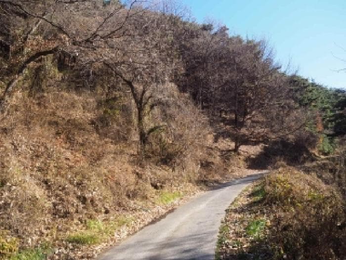 경상남도 밀양시 산내면 용전리 1090 외 3 필지