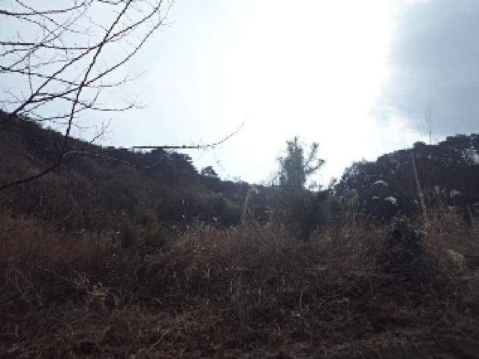 경상남도 밀양시 상동면 상동가곡3길 105-24 (가동) 외 9 필지 외 6개 동