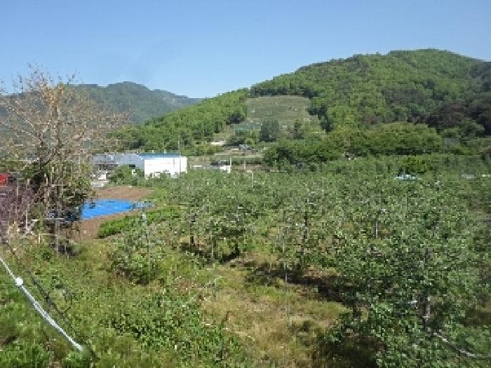 경상남도 밀양시 산내면 송백리 881 외 3 필지
