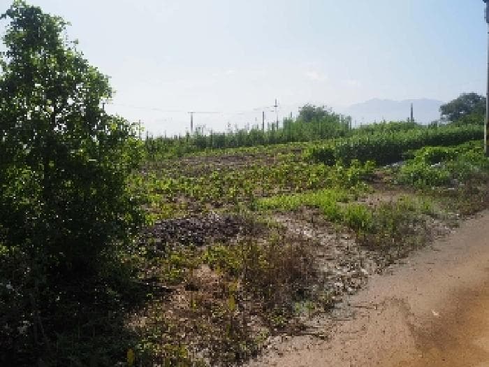 경상남도 밀양시 상남면 동산리 314-3