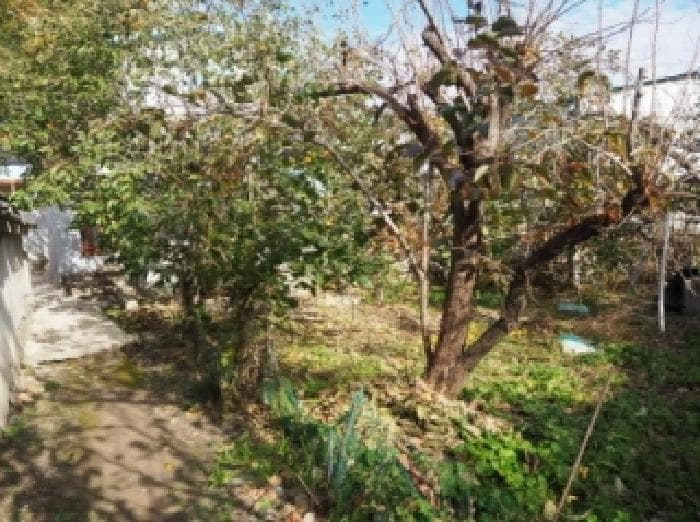 경상남도 밀양시 상동면 옥산리 152-9 외 1 필지