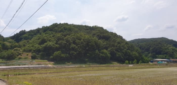 경상남도 합천군 삼가면 양전리 산38