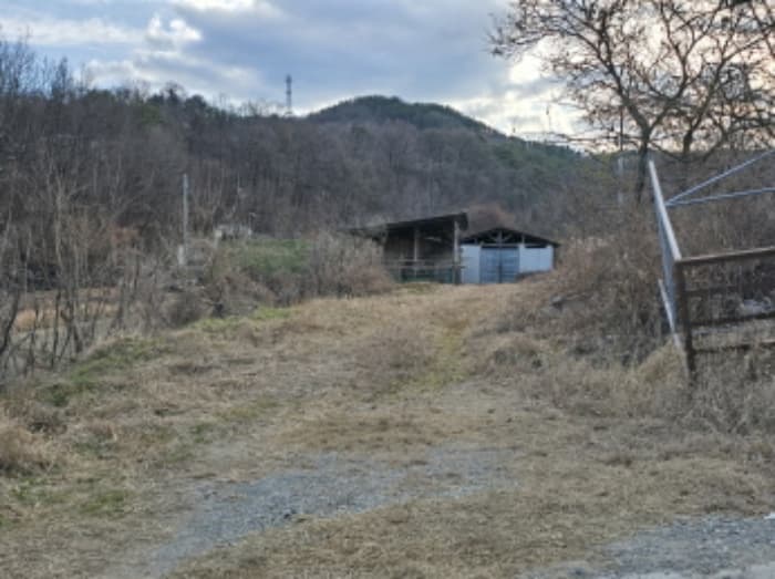 경상남도 합천군 삼가면 소오리 238