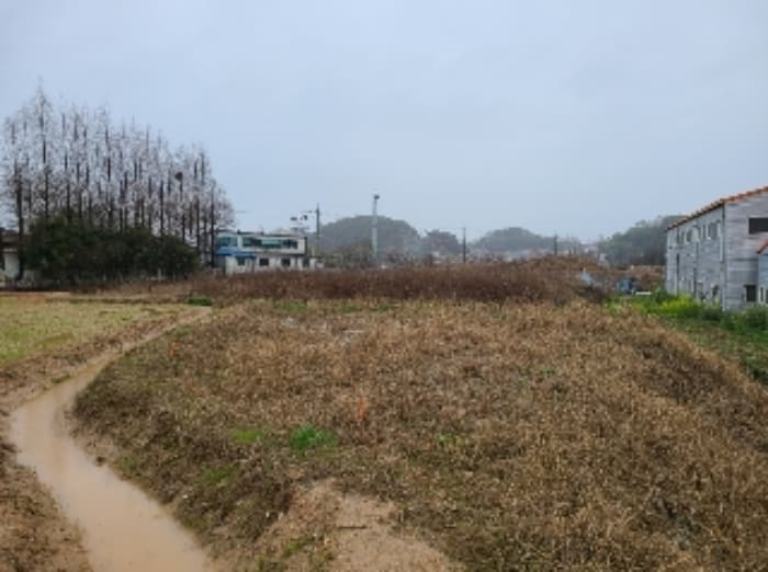 광주광역시 북구 월출동 91 외 1 필지