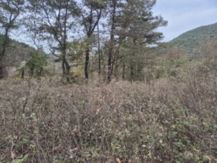 광주광역시 북구 화암동 산194
