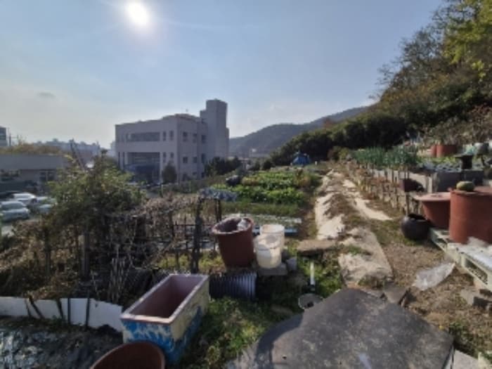 전라남도 화순군 화순읍 교리 184-1 외 3 필지