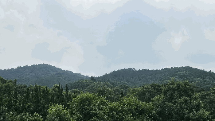 전라남도 화순군 도암면 대초리 산23