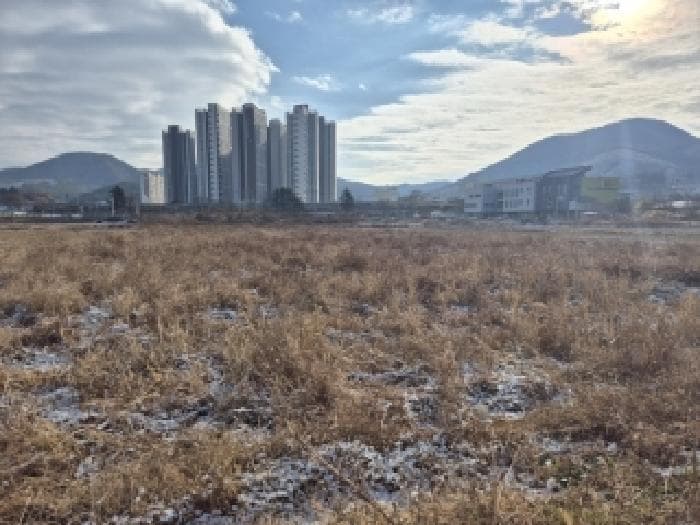 전라남도 장성군 장성읍 영천리 1484-4