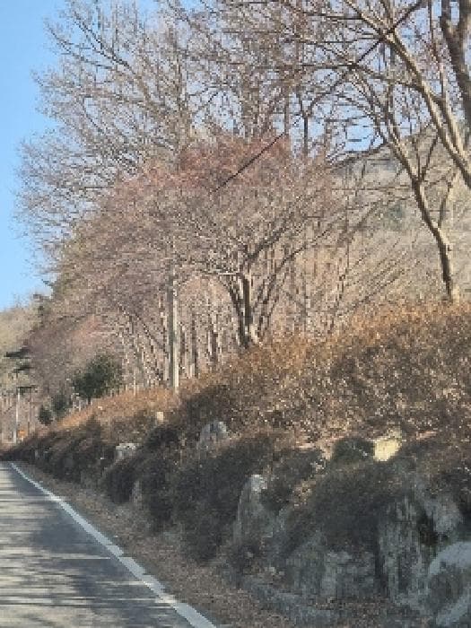 전라남도 화순군 화순읍 유천리 산20-5