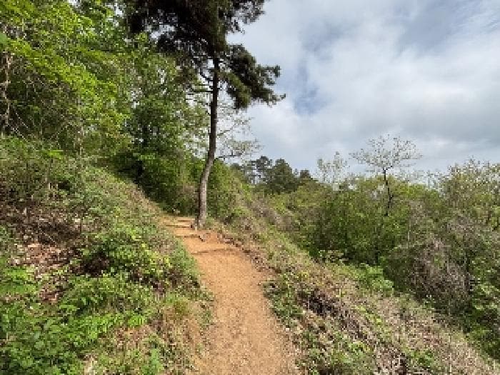 광주광역시 북구 문흥동 산72