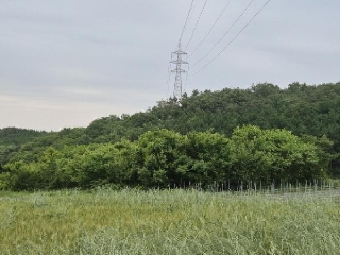 전라남도 장성군 삼계면 화산리 209 외 1 필지