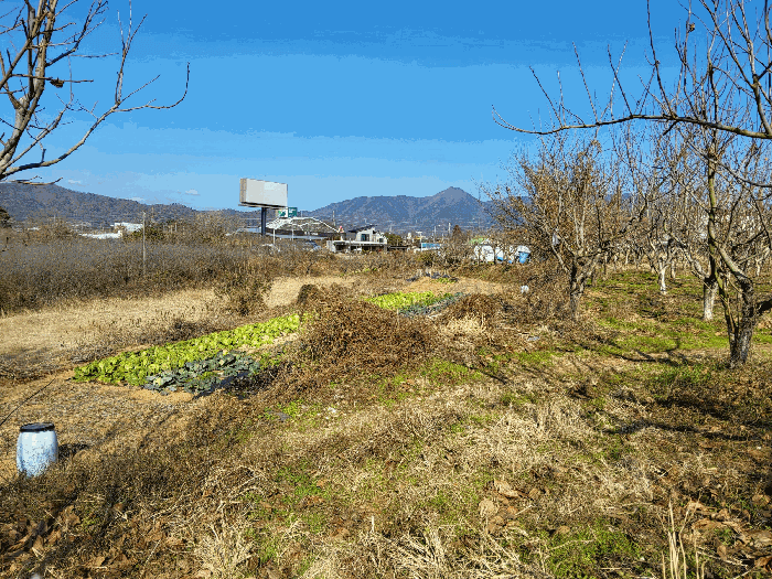전라남도 장성군 남면 분향리 554