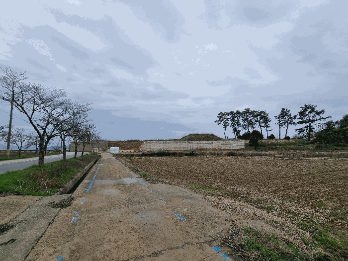 전라남도 무안군 일로읍 복룡리 14-2 외 21 필지