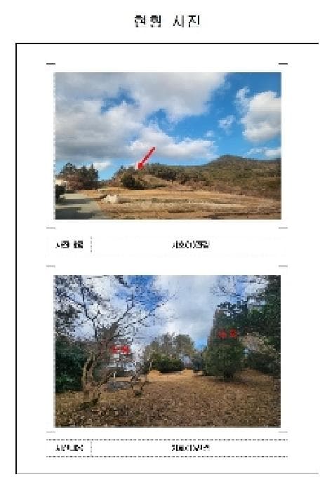 전라남도 신안군 임자면 재원리 산163