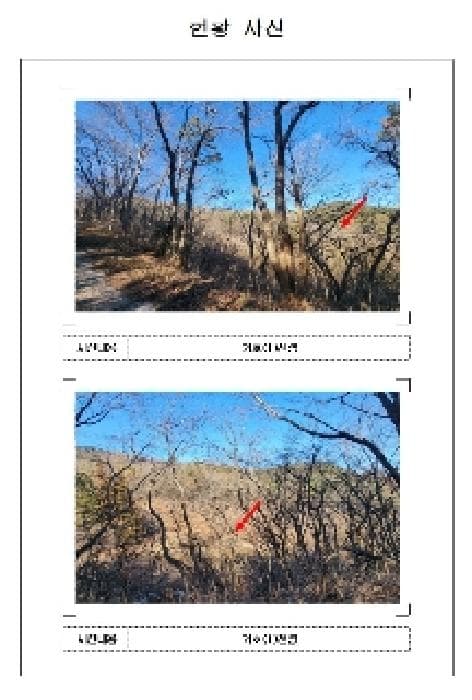 전라남도 영암군 영암읍 한대리 239