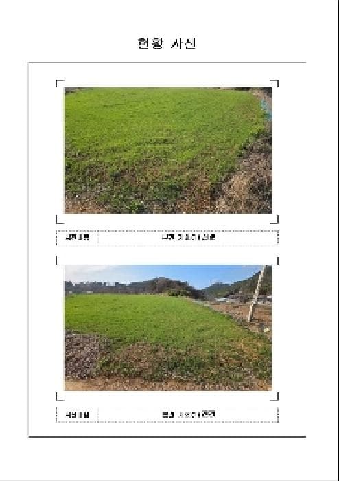 전라남도 함평군 손불면 궁산리 768