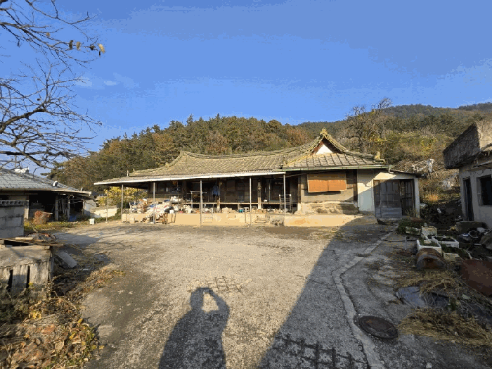 전라남도 함평군 대동면 운교리 903