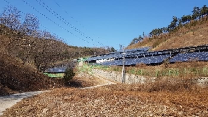 전라남도 순천시 서면 구상리 산127 외 1 필지