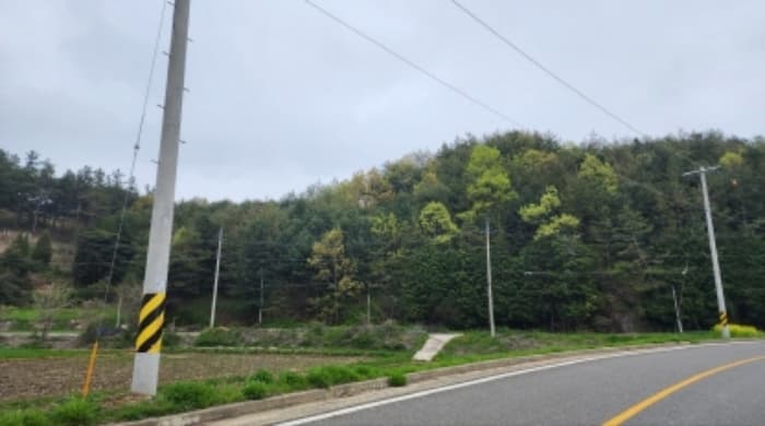 전라남도 보성군 미력면 용정리 산120