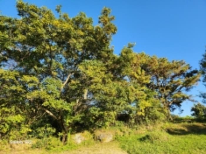 전라남도 구례군 마산면 광평리 822-3