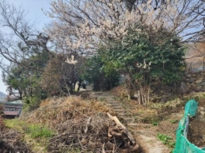 전라남도 여수시 광무동 961