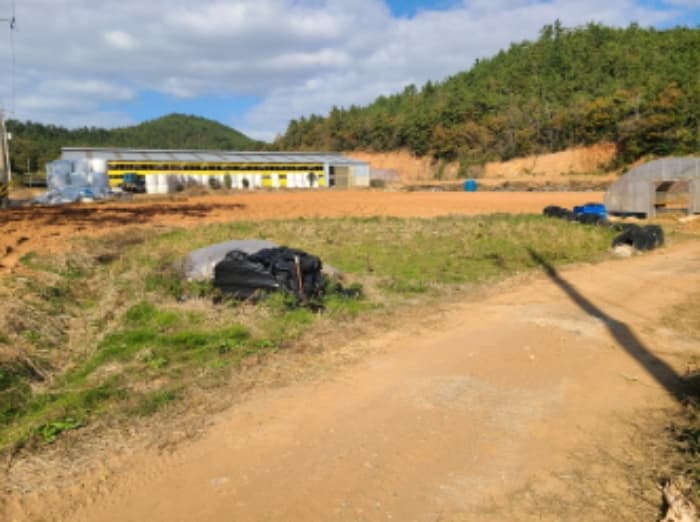 전라남도 해남군 화산면 안호리 317