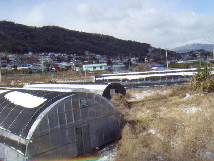 전라남도 완도군 군외면 불목리 396-1 외 2 필지